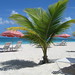Sandy Turk Photo 7