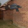 Nick Hooper Photo 28