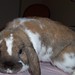 Emmett Foster Photo 20