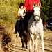 Amy Shannon Photo 8