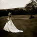Matthew Levin Photo 47