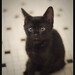 Larry Scurry Photo 5