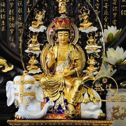 Jerry Yang Photo 41