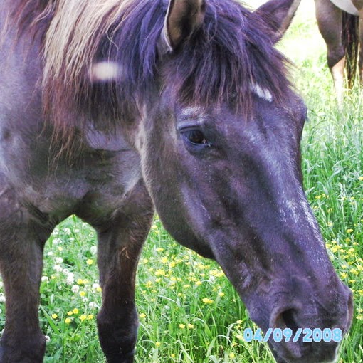 Kathleen Wilson Photo 22