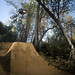 Marcus Inman Photo 7