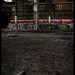 Martin Graf Photo 19