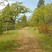 Catherine Huff Photo 17