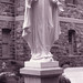 Joseph Deer Photo 13