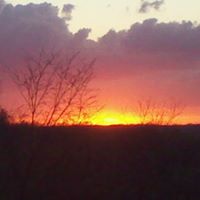 Lee Calvert Photo 11