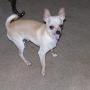 Tammy Myers Photo 9