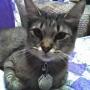 Elizabeth Aldredge Photo 9