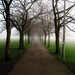 Alice Weathers Photo 8