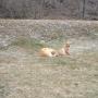 Mark Storm Photo 37
