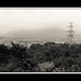 Pui Yuen Photo 12