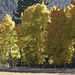 Aspen Walker Photo 12