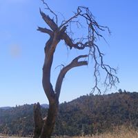 Robert Hayter Photo 18