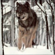 Brenda Eggleston Photo 4