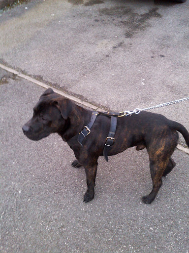 Amy Banks Photo 11