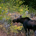 Jeri Wilson Photo 34