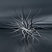 Jason Jolin Photo 5