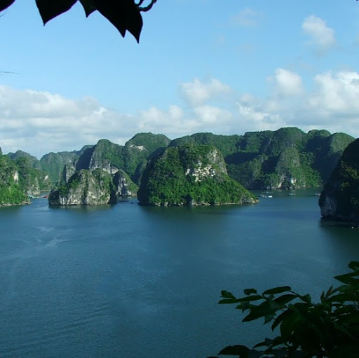 Dung Dinh Photo 23
