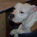 Floyd Stanley Photo 12