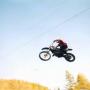 Terry Williamson Photo 35