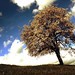 April Baum Photo 11