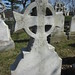 James Backhouse Photo 22