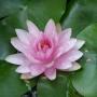 Shirley Parker Photo 26
