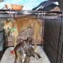 Tami Randall Photo 15