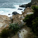 Cliff Nelson Photo 21