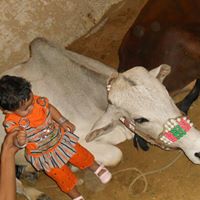 Muhammad Shakeel Photo 33