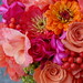 Jessica Flower Photo 3