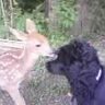 Connie Harrison Photo 8