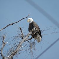 Beth Koch Photo 27