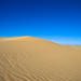 Mark Mohammed Photo 19