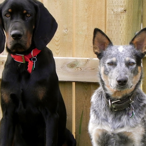 Dustin Bates Photo 10