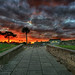 Marco Castillo Photo 47