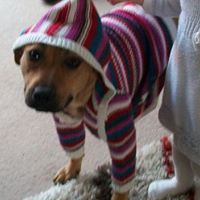 Lucy Cartwright Photo 16