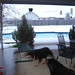 Bonnie Kohl Photo 8