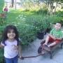 Norma Gonzales Photo 19