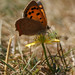 Lydia Parker Photo 17