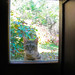 Jane Hill Photo 16