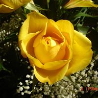 Heather Galindo Photo 4