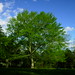 April Beech Photo 8