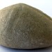Stephen Twitchell Photo 4