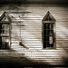 Dorthea Walker Photo 8