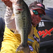 Bobby Greene Photo 8