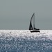 Joseph Burkhart Photo 24